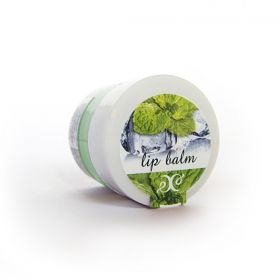 Lip Balm  with The Taste of Fresh Mint